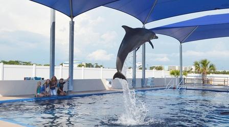 Video thumbnail: Family Travel with Colleen Kelly Best of Florida