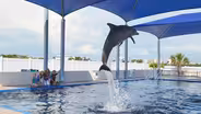 Best of Florida