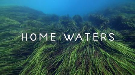 Video thumbnail: WEDU Specials Home Waters