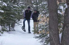 Snowshoeing