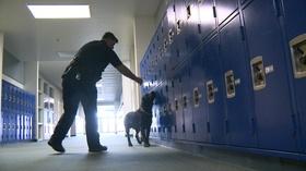 Video thumbnail: Inside Education CCSD Police K9 Officers are Keeping Students Safe