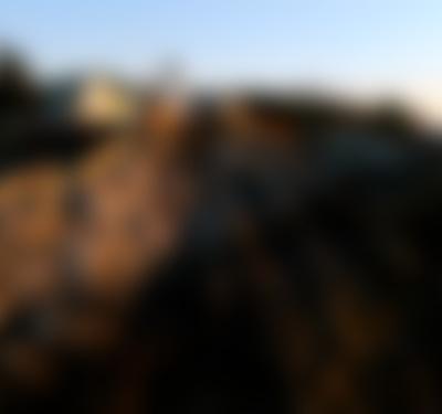 Assignment: Maine