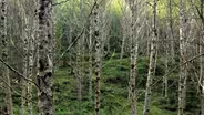 Portland Mountain Biking
