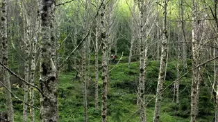 Portland Mountain Biking