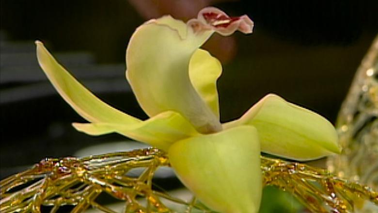 The Complete Pépin Image