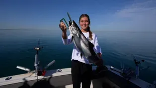 Bass Fishing, Co ho Fishing, Turkey Hunting