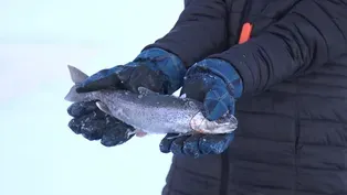 Teens in the Matanuska-Susitna Borough learn about food sove