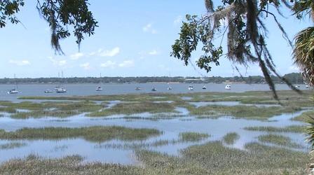 Video thumbnail: SCETV Specials Local Impacts of Climate Change in Beaufort, SC