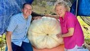 Giant Pumpkins and Bats