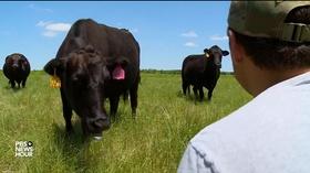 Video thumbnail: PBS NewsHour Shutdown comes at a 'tough time' to be an American farmer