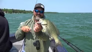 Perch fishing, Food plot tips, Bragging Board | Michigan Out of Doors