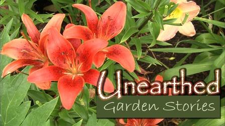 Video thumbnail: Unearthed: Garden Stories Unearthed: Garden Stories