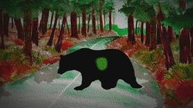 Video thumbnail: Wisconsin Life Mother Bear
