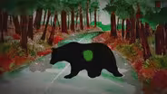 Mother Bear