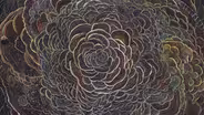 Artist Claire Burbridge