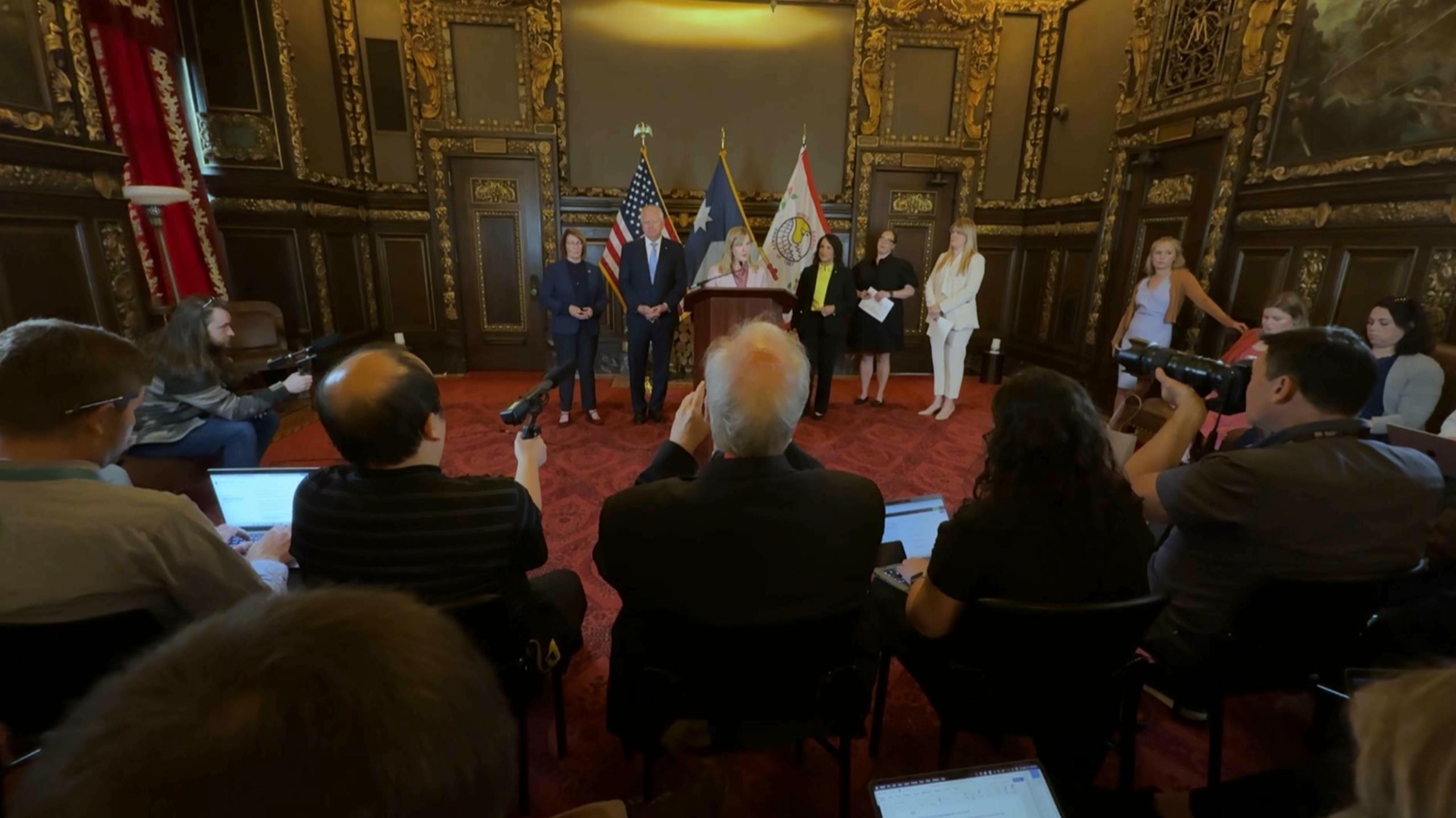 Lake Street raid, Special session, Political panel