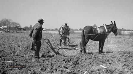 Video thumbnail: Trail of History African American Farmers