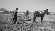African American Farmers | Trail of History