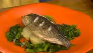 Modern American Cuisine