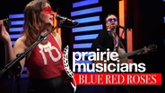 Prairie Musicians: Blue Red Roses