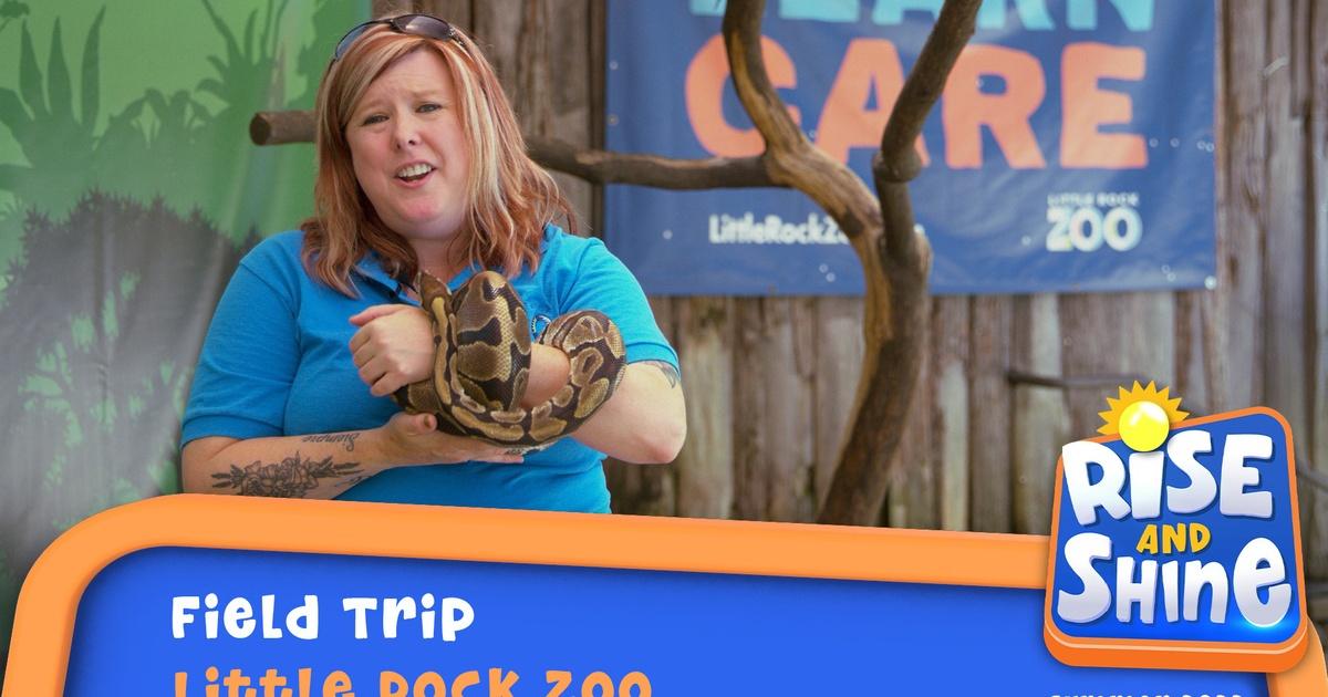 Rise and Shine Little Rock Zoo Field Trip Season 2022 PBS