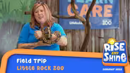 Little Rock Zoo Field Trip
