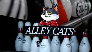 Focus On: Alley Cats Bowling Alley