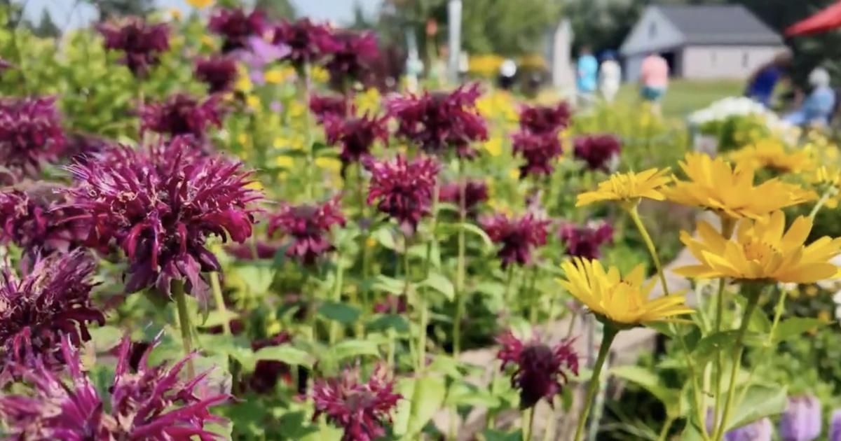 Great Gardening | Victory Gardens & Spring Prep | Season 24 | Episode 4 ...