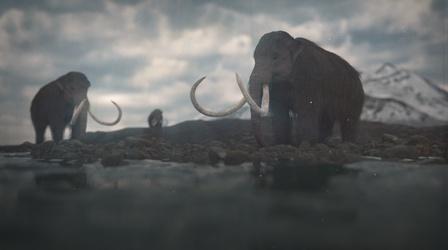 Video thumbnail: Eons The Island of the Last Surviving Mammoths