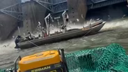 State Program Making Headway to Remove Invasive Asian Carp