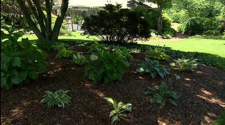 Video thumbnail: Volunteer Gardener Volunteer Gardener 2905
