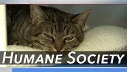 Charlotte's Humane Society's New Facility
