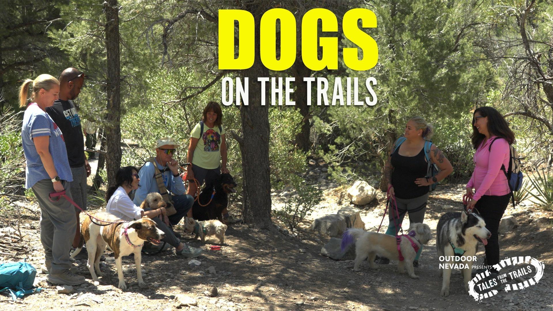 Tales from the Trails Dog-Friendly Adventure at Fletcher Canyon