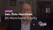 Senator Pete Harckam on the Opioid Crisis in New York
