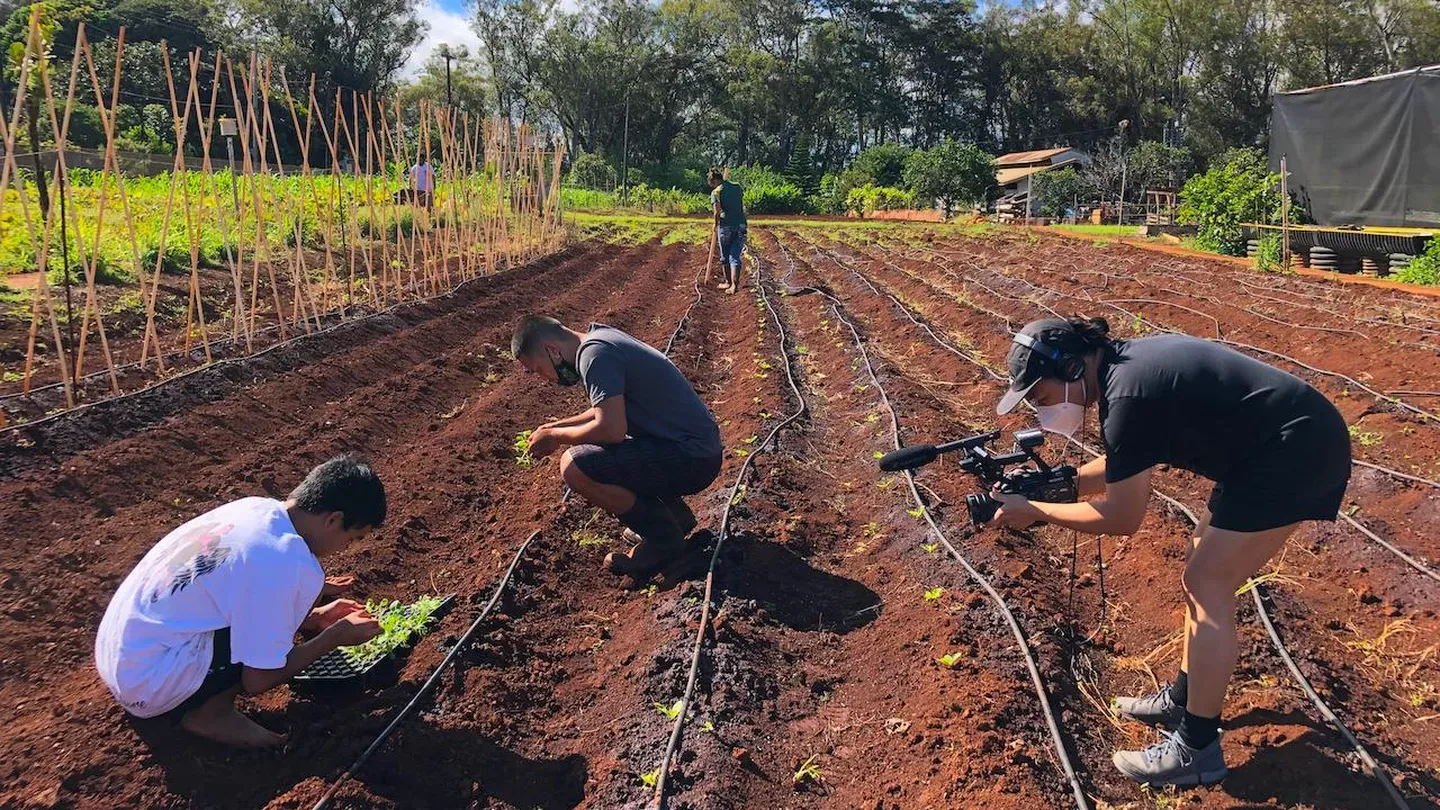 Scaling Up: Hawaiʻi's Food Future
