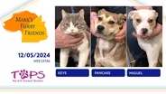 12/05/2024 | Keye, Pancake and Miguel | Mark's Furry Friends | Web Extra