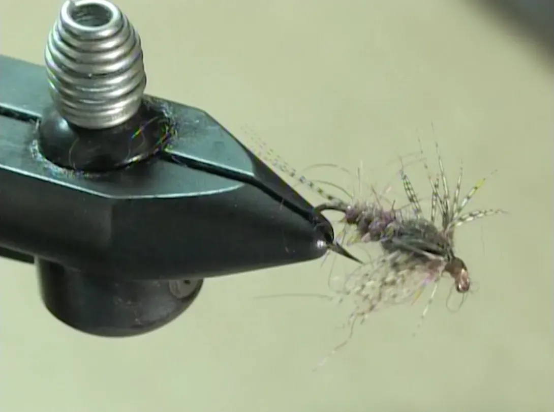 Hendrickson Fly / Lake Kiwassa Ice Fishing / Rabbit Hunting