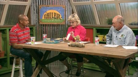 Video thumbnail: The Family Plot Garden Crafts for Kids, and Garden Safety