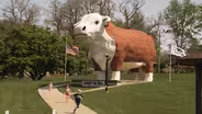 Albert the Bull
