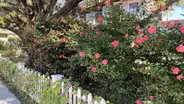 MUSC Urban Farm