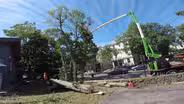 Next Generation Demo | Brookline Mid-century Modern House