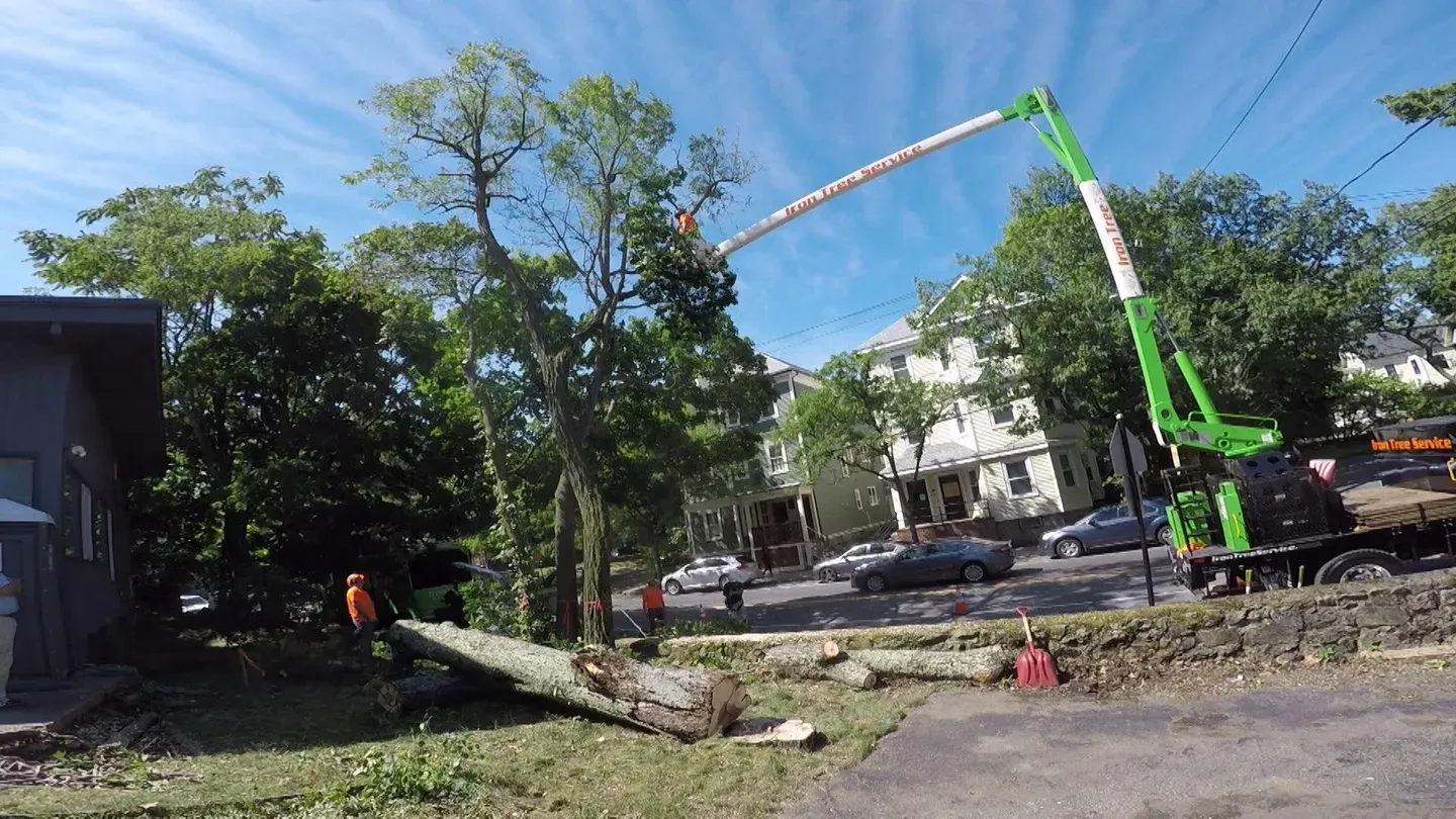 Next Generation Demo | Brookline Mid-century Modern House