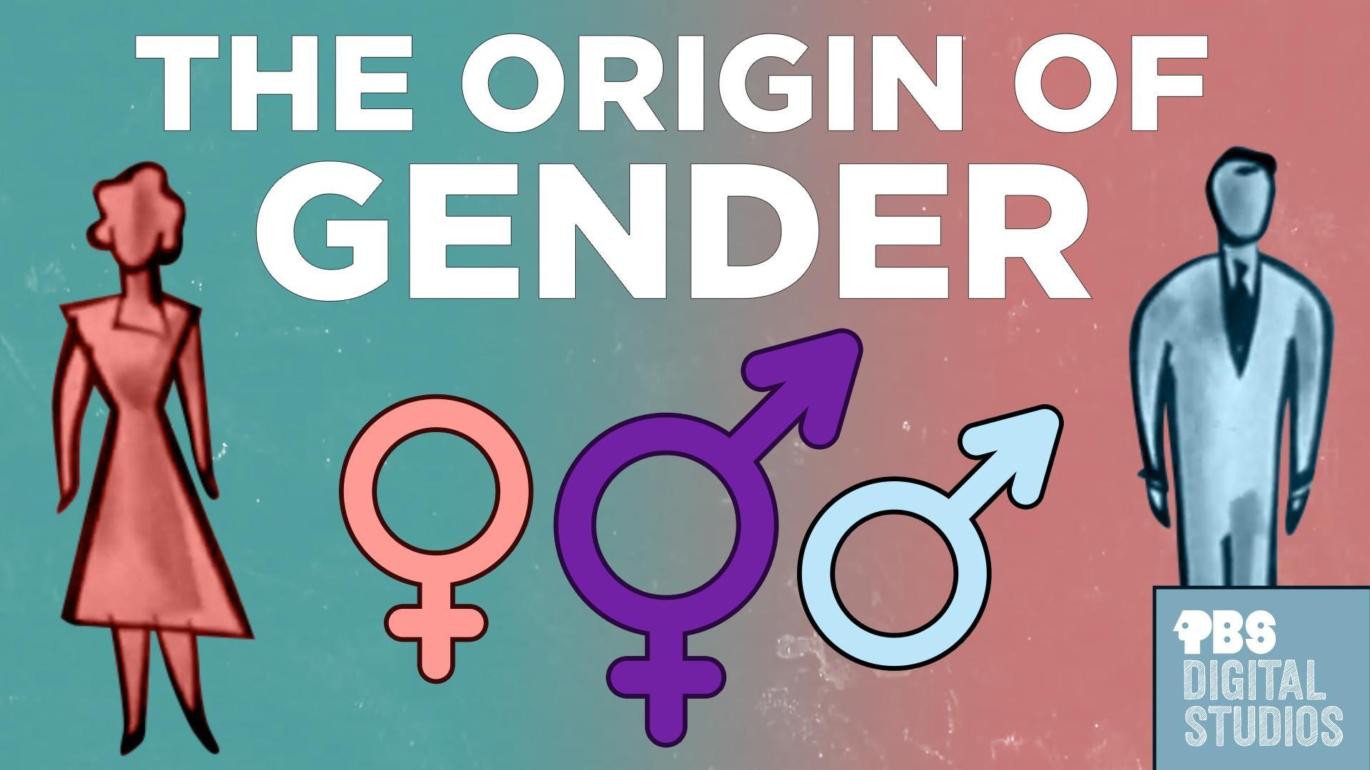 the-origin-of-gender-origin-of-everything-all-arts