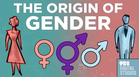 Video thumbnail: Origin of Everything The Origin of Gender
