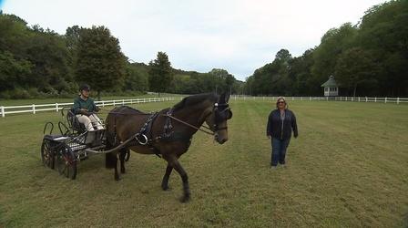 Video thumbnail: Tennessee Crossroads Tennessee Crossroads 3422