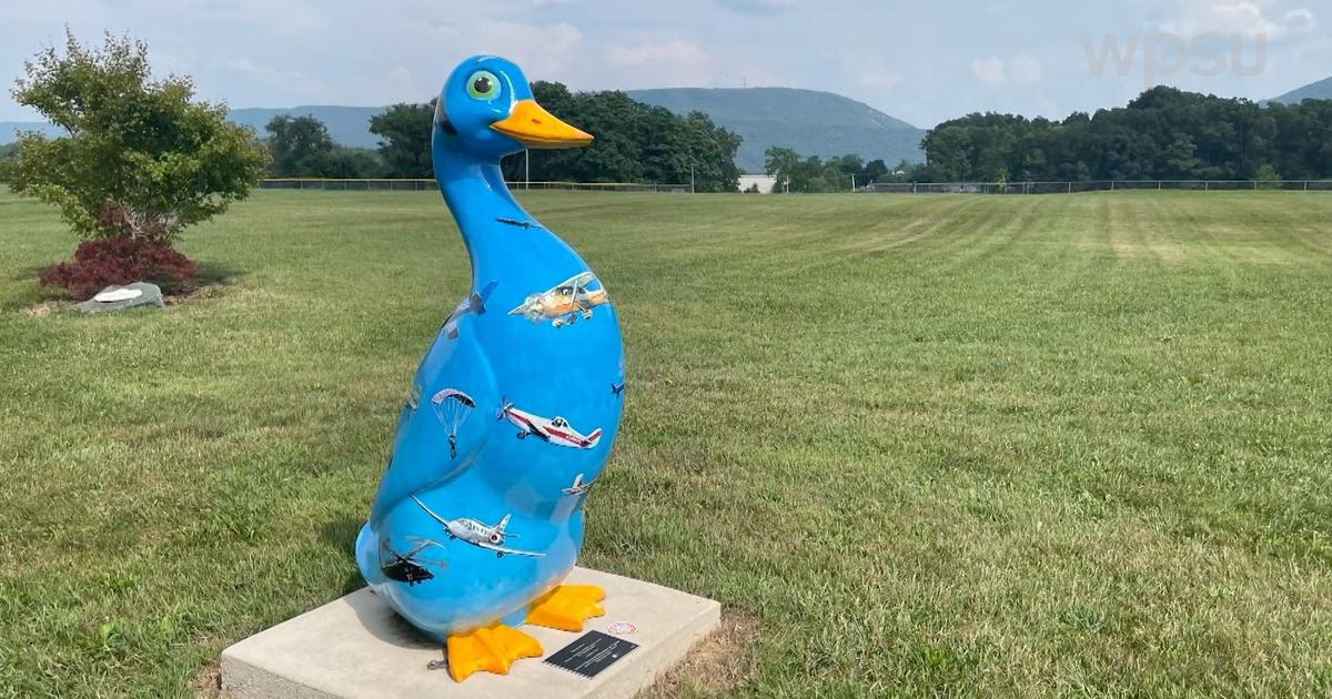 Our Town Goose Day and Wild Goose Sculptures Season 25 PBS