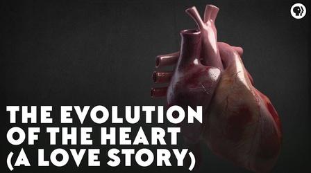 Video thumbnail: Eons The Evolution of the Heart (A Love Story)