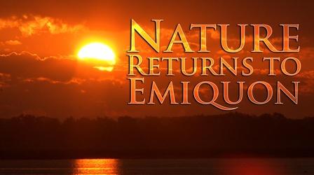 Video thumbnail: Nature Returns to Emiquon Nature Returns to Emiquon