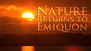 Nature Returns to Emiquon