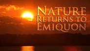 Nature Returns to Emiquon